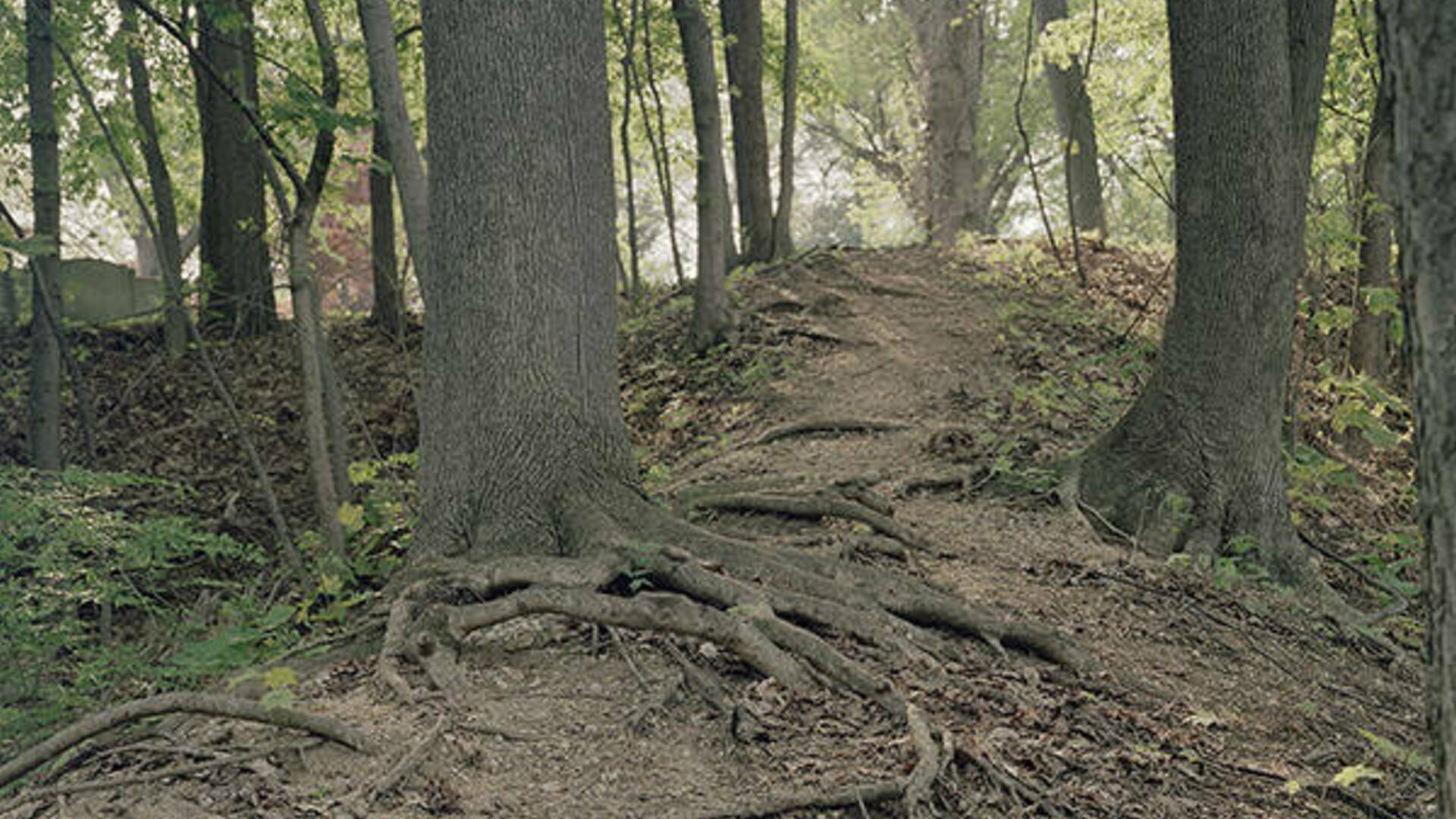 Kay Westhues, (American, b. 1961), <em>Footpath to Portage Landing</em>, 2015, archival pigment photograph, 30 x 20 inches. Courtesy of the artist. (detail)